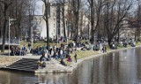 Wrocław: Od dziś wolontariusze mają swoje święto