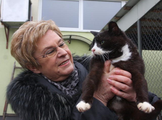 Grażyna Fałek apeluje o pomaganie wolno żyjącym kotom, szczególnie w trakcie dużych mrozów