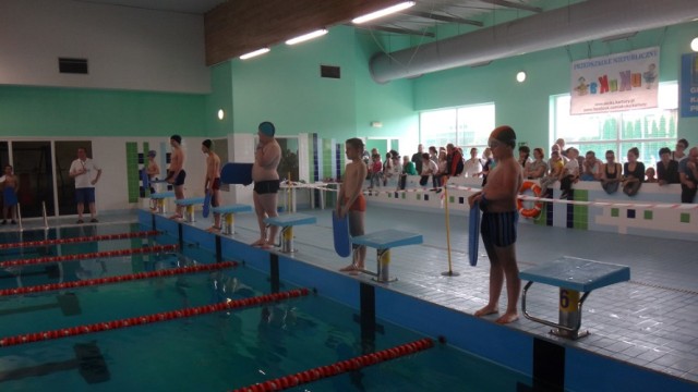 Uczniowskie Zawody Pływackie w Kartuzach, 23.05.2015