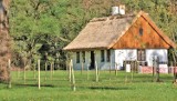 Edukacja ekologiczna w nowym Skansenie Roślinnym w Ogrodzie Botanicznym w Łodzi