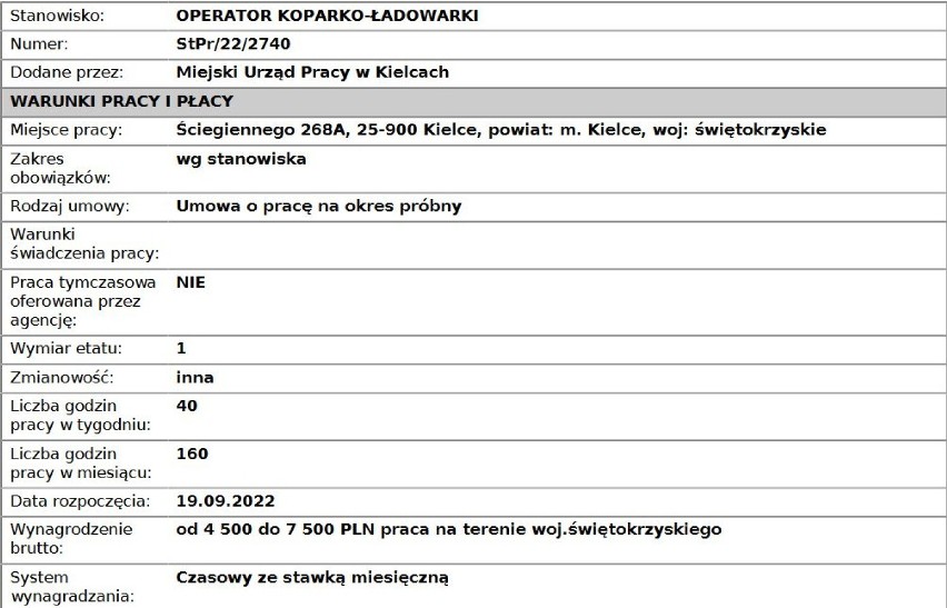 Jest dobrze płatna praca w Kielcach! Tutaj zarobisz powyżej 5 tysięcy złotych. Sprawdź oferty