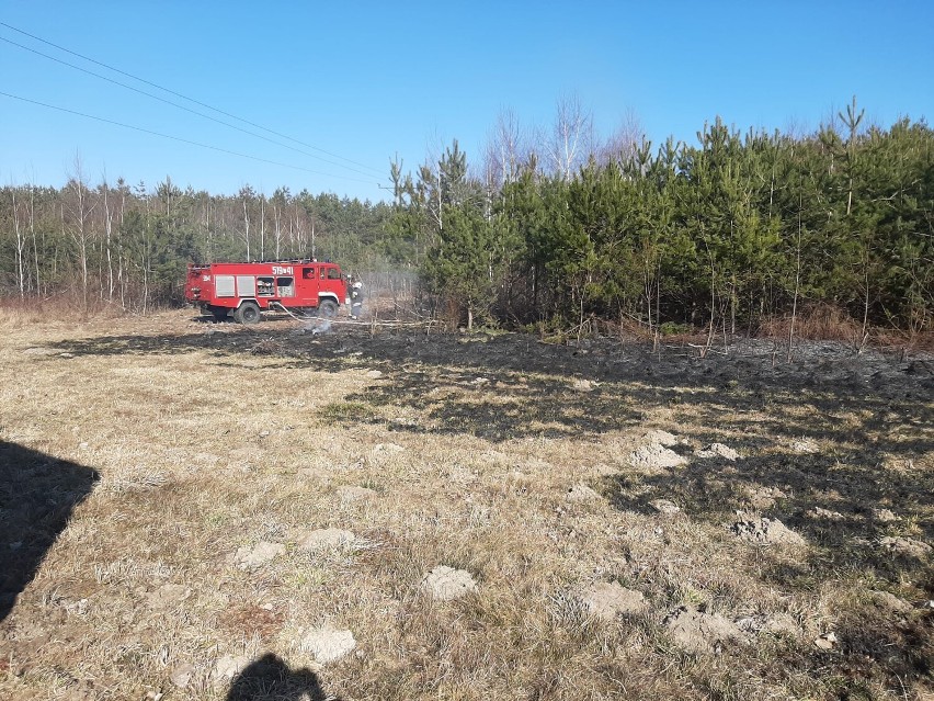 Powiat radomszczański: 10 kolejnych pożarów suchych traw i poszycia leśnego