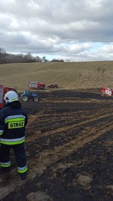 Pożar 10 hektarów łąki w Przywidzu. Silny wiatr utrudniał akcję strażaków |ZDJĘCIA