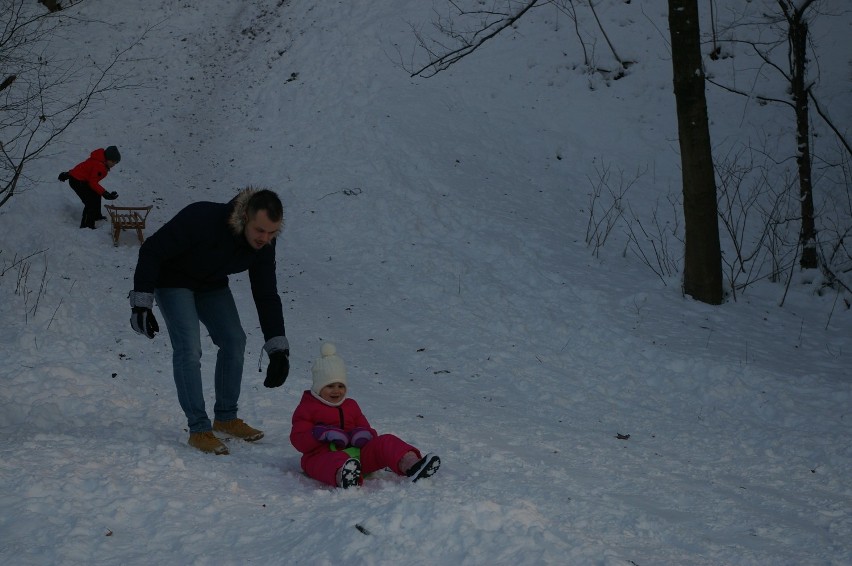 Park Miejski w zimowej odsłonie przyciąga spacerowiczów i dzieci [ZDJĘCIA]
