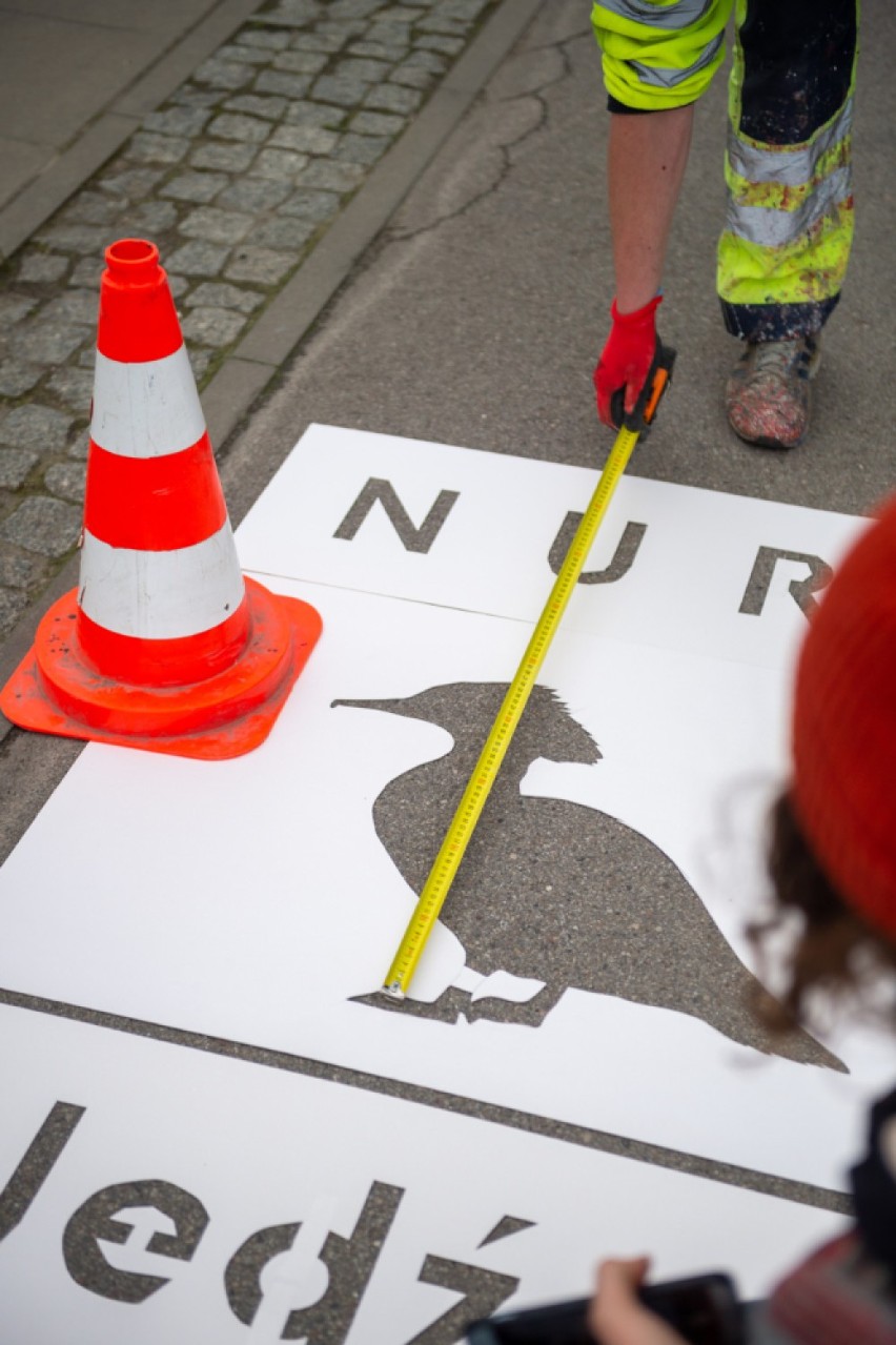 Nietypowe oznakowanie na ulicy Czerniakowskiej. Pomoże ochronić skrzydlatych mieszkańców stolicy