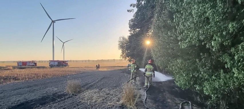 Niebezpieczny pożar pola w Wielowsi. PSP gasiła z powietrza i lądu. Jeden ze strażaków w szpitalu