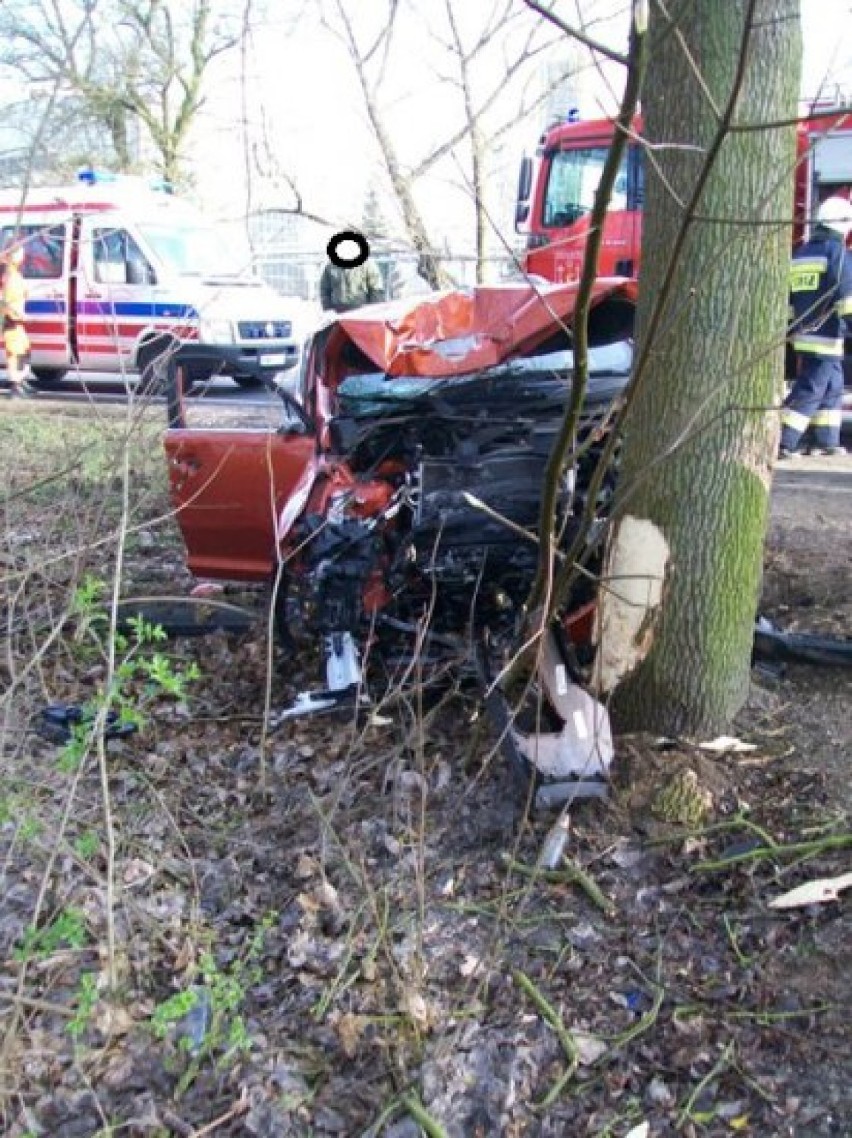Wypadek w Stawie: KIA Sportage uderzyła w drzewo