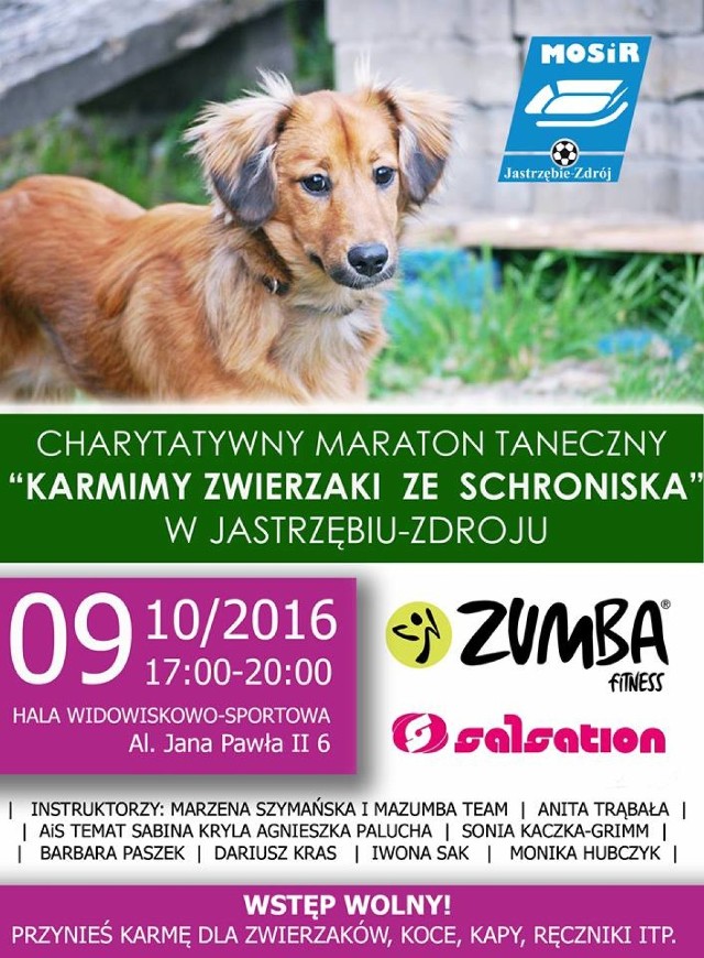 Zumba w Jastrzębiu: charytatywny maraton