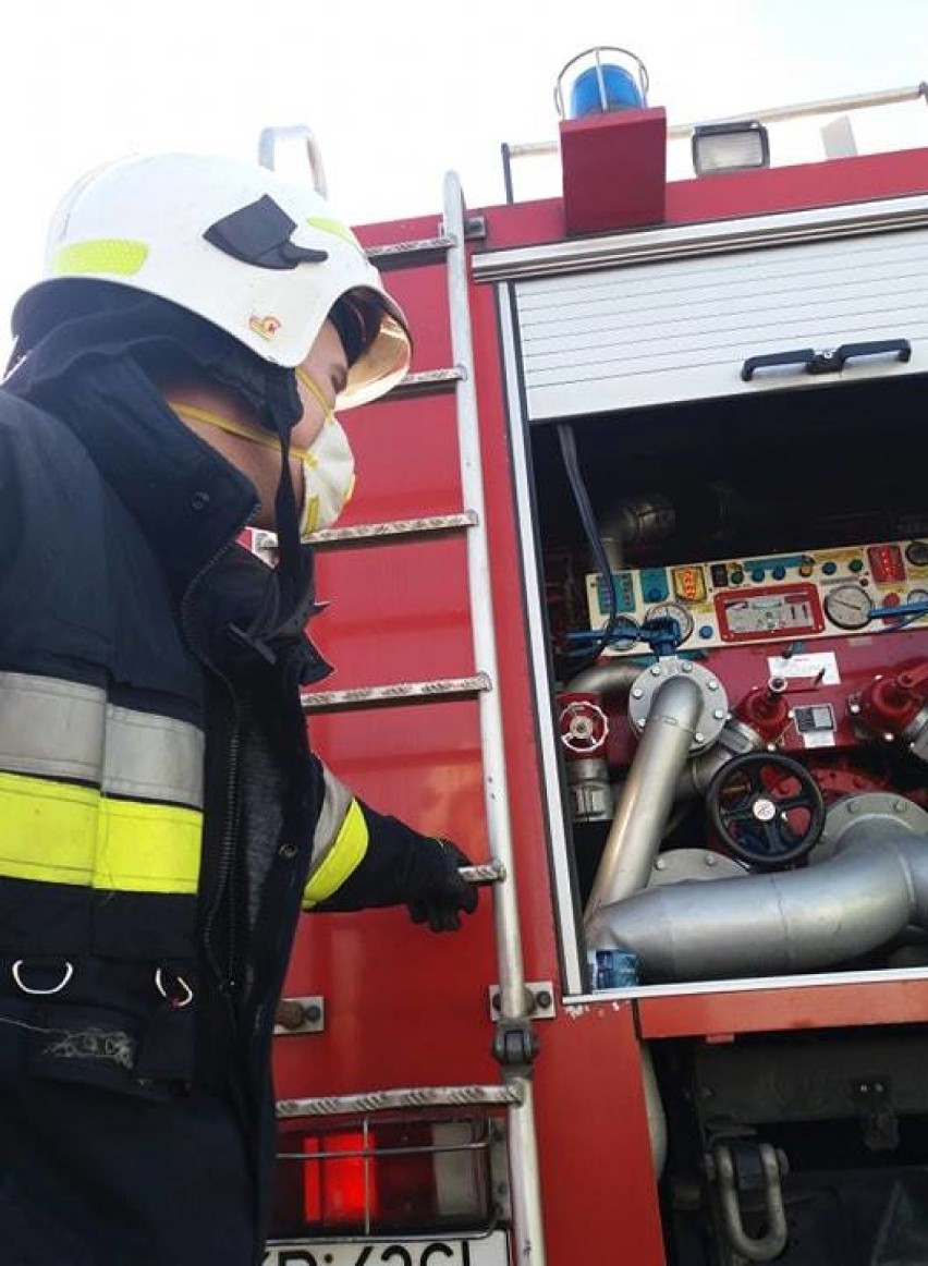 Zdjęcia z akcji strażaków w Krośnie Odrzańskim, w zakładzie...