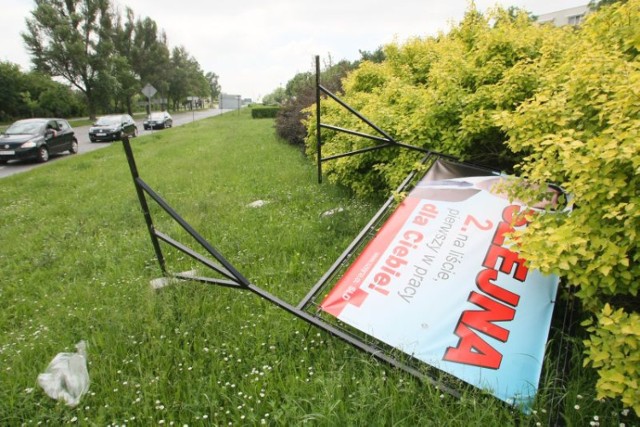 Niektórzy w dziwny sposób wyrażali swoje poglądy polityczne… Bilbord przy ulicy Tarnowskiej wyrzucono na przykład w krzaki.