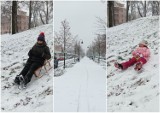 Do Głogowa wróciła zima. W Parku Słowiańskim dzieci jeżdzą na sankach