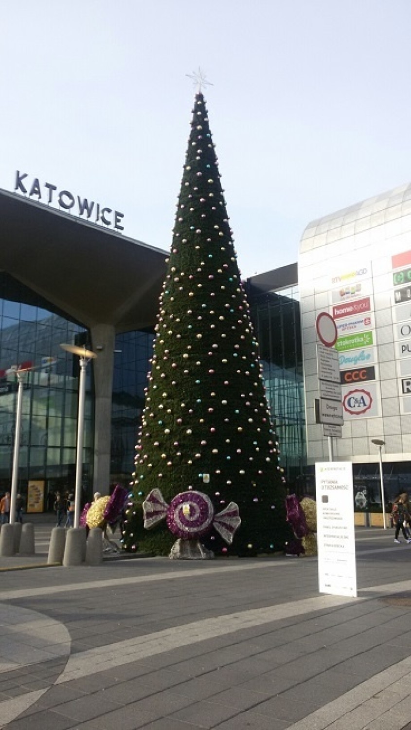 Choinka na placu Szewczyka w Katowicach