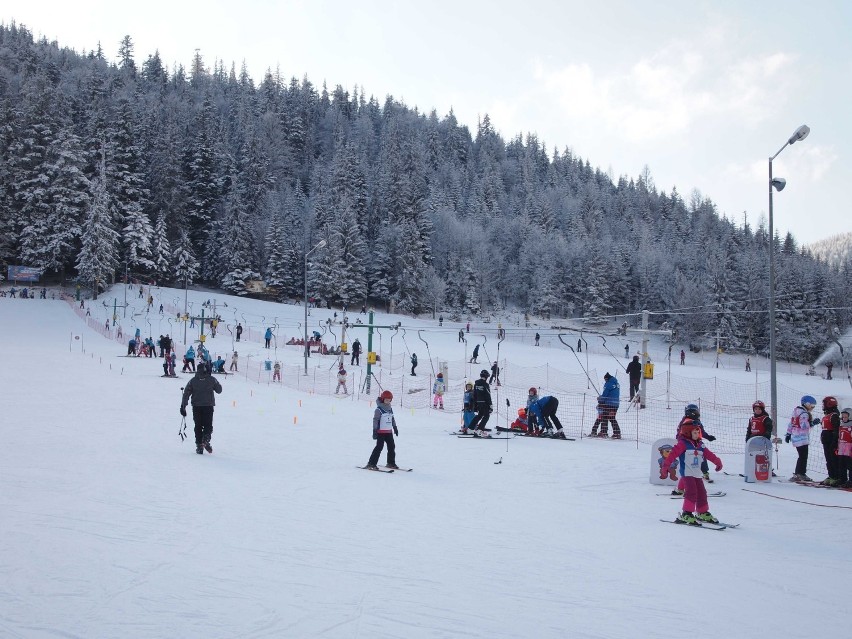 Zakopane. Polacy jadą na ferie. Na stokach i na Krupówkach ludzi coraz więcej [ZDJĘCIA]