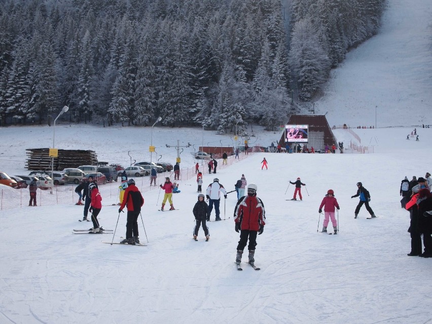 Zakopane. Polacy jadą na ferie. Na stokach i na Krupówkach ludzi coraz więcej [ZDJĘCIA]