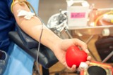 Przywileje Honorowych Dawców Krwi. Co otrzymujesz, ratując komuś życie? Lista korzyści płynących z krwiodawstwa