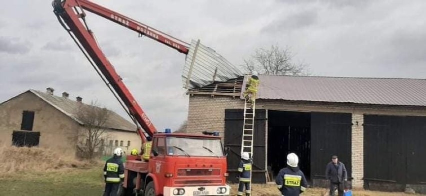 Wichury w powiecie brzezińskim. Strażacy wyjeżdżali blisko 130 razy do powalonych drzew i zerwanych dachów