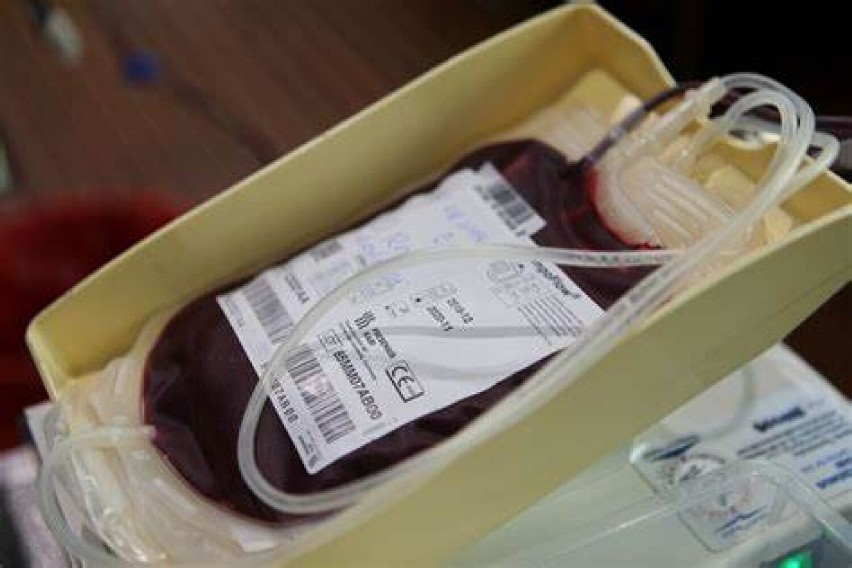 Bartuś z Przyprostyni potrzebuje Twojej pomocy! Weź udział w akcji klubu HDK "Cenne Krople" i oddaj krew!