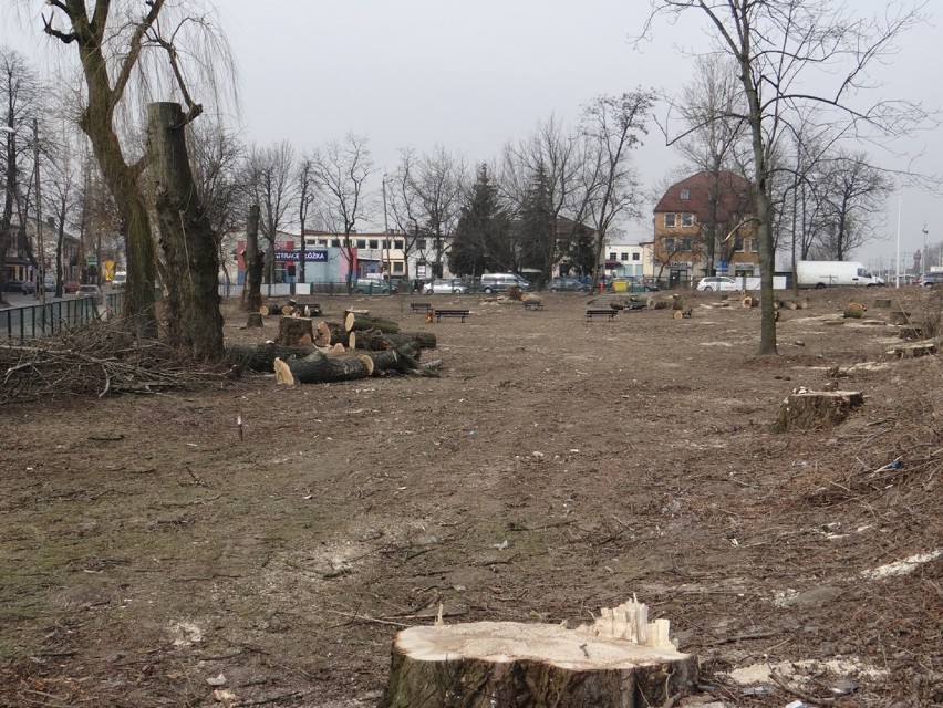 Tak dziś wygląda skwer przy ul. Sierakowskiego w Radomsku