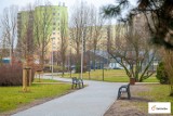 Park im. Jana Nowaka-Jeziorańskiego  w Bełchatowie już po remoncie. Co się zmieniło w tym miejscu?