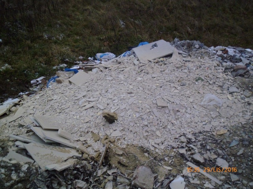 Straż miejska w Jastrzębiu: śmiecił na terenach zielonych