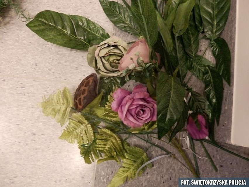 Po kradzieżach na cmentarzu w Skarżysku-Kamiennej. Czy to kwiaty z grobów? Zobacz policyjne zdjęcia 