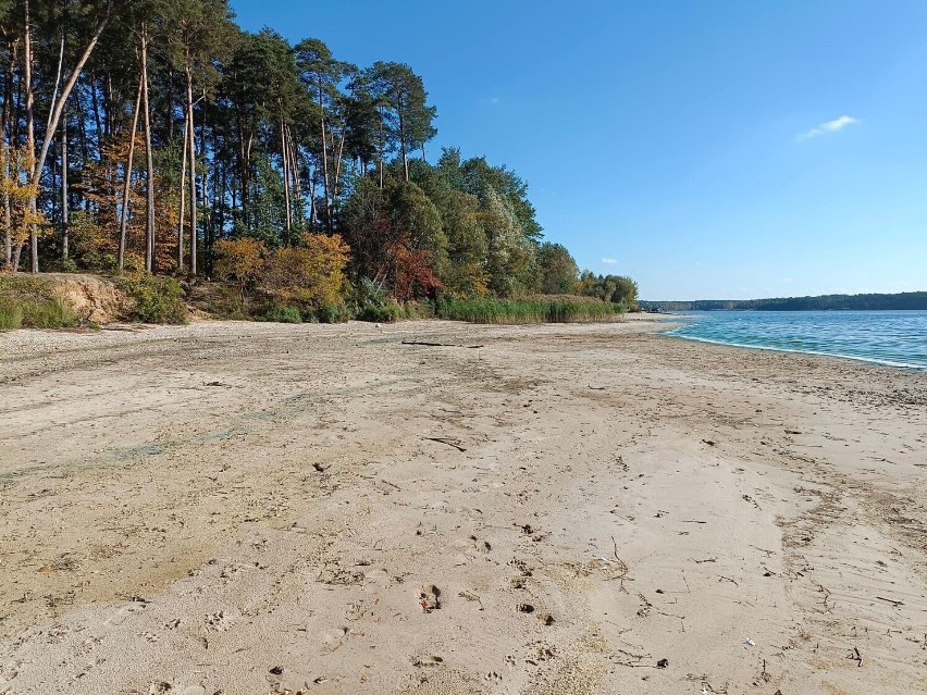 Trwa spuszczanie wody z Zalewu Sulejowskiego. Odsłaniają się szerokie piaszczyste plaże [ZDJĘCIA]