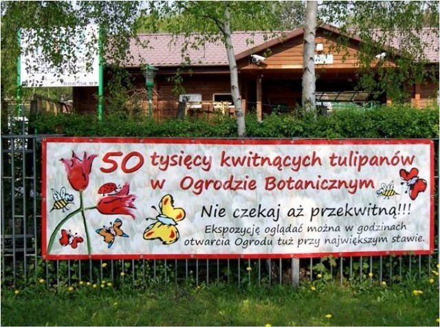 Billboard na ogrodzeniu ogrodu botanicznego.
fot. Mariusz Reczulski
