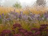 Arboretum w Trojanowie. Zobaczcie niezwykły ogród tylko na ZiemiaKaliska.com.pl