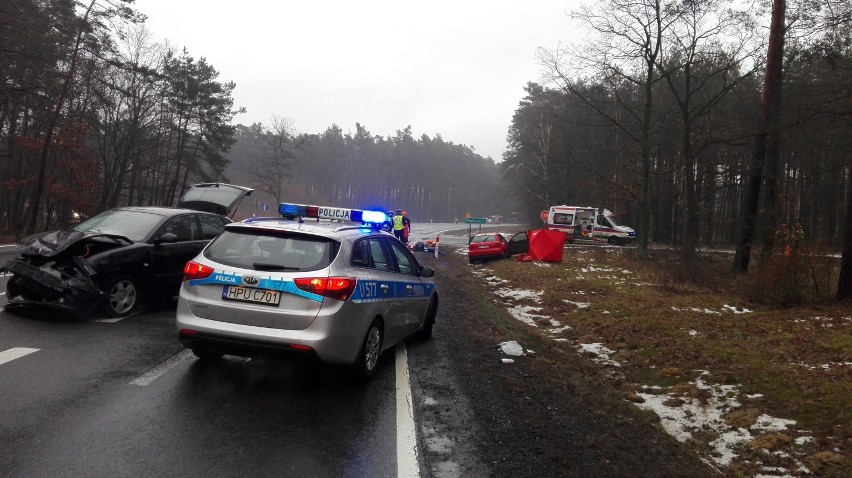 Policja szuka świadków śmiertelnego wypadku na krajowej jedenastce