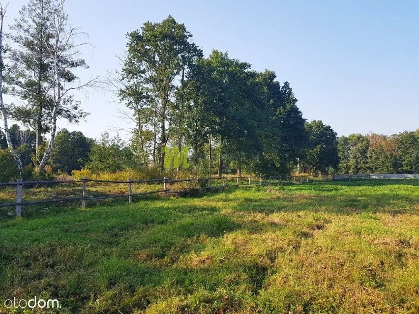 Powierzchnia: 3 386 m²
Typ działki: budowlana
Ogrodzenie:...