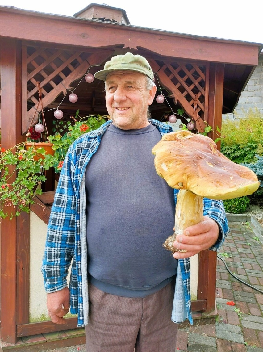 Olbrzymi grzyb znaleziony we wrzosowskim lasku