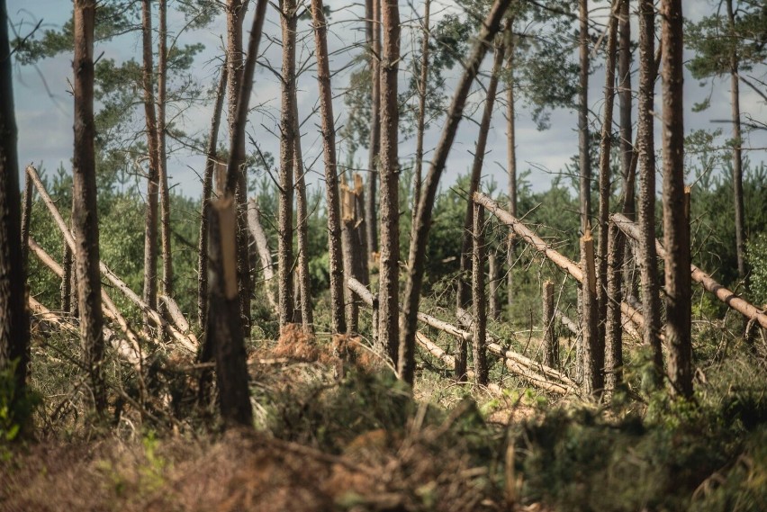 Tak wyglądają skutki nawałnicy, która przeszła przez Kaszuby