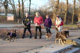 Park Śląski idealny na poświąteczny spacer [ZDJĘCIA]