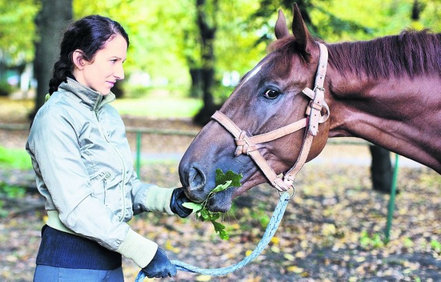 Hodują konie, bo to kocham. To moja wielka pasja - przekonuje Elwira Krakowiak. Żaden z moich koni jeszcze na siebie nie zarobił