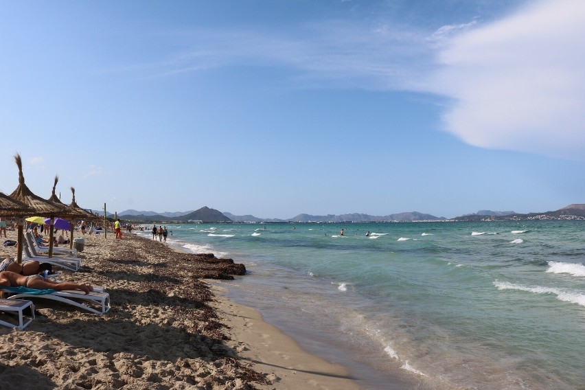 Playa de Muro to jedna z najsłynniejszych plaż Majorki, a to...