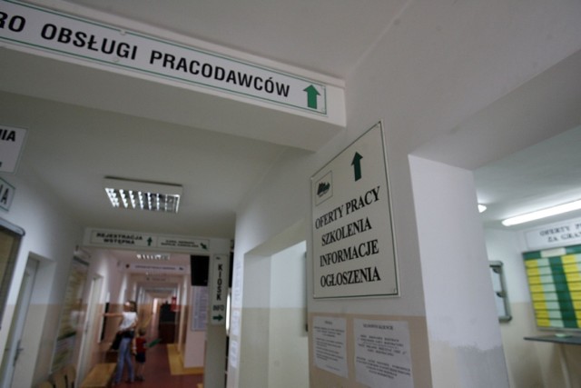 W Powiatowym Urzędzie Pracy w Chorzowie 11 września odbędzie się Giełda Pracy