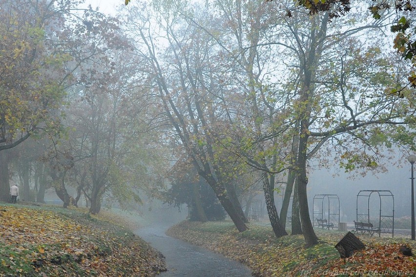 Piękna i mglista gorzowska jesień na zdjęciach