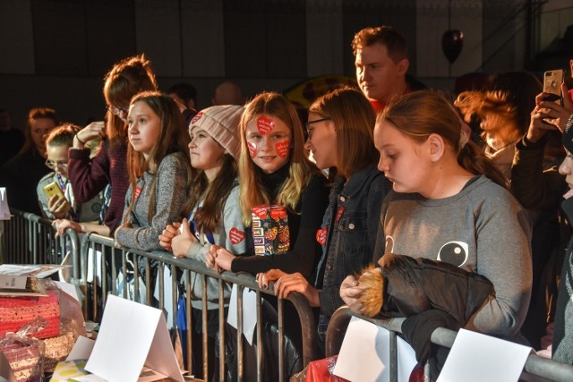 W tym roku po raz pierwszy w historii WOŚP wielkiemu finałowi nie będą towarzyszyć duże imprezy z udziałem publiczności