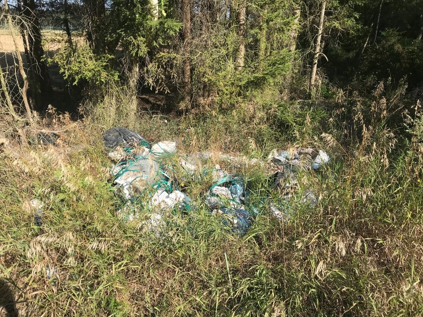 Te śmieci ktoś wyrzucił wprost do lasu pod Gronowem