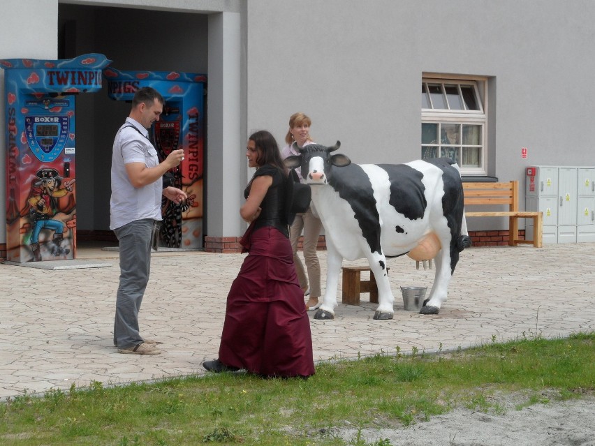 15 czerwca w samo południe otwarto żorski western. Na gości czeka mnóstwo atrakcji!