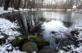 Park Grodowy w Sopocie. Nowy plan zagospodarowania Grodziska, ulic Goyki, Haffnera i Sępiej