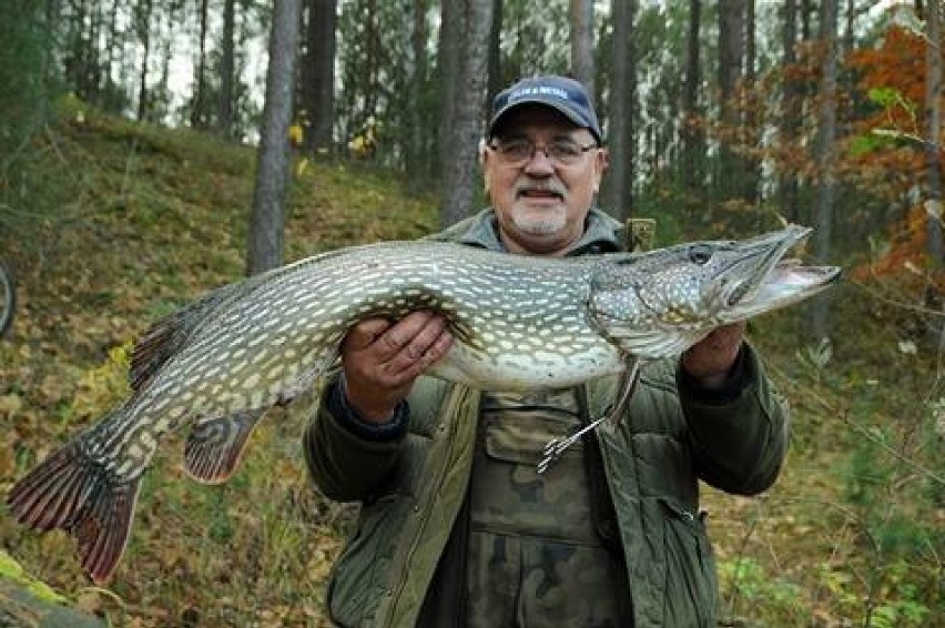 Aleksander Smolczewski ze swoim ostatnim okazem. Tego...