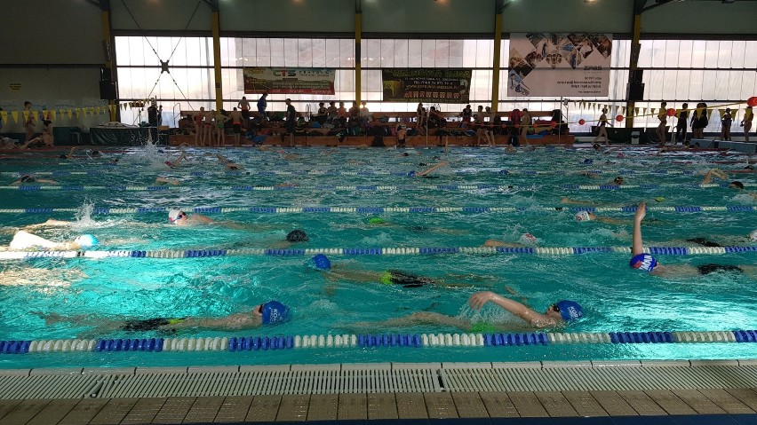 Młodzi pływacy ze Zgorzelca wrócili z medali z zawodów w Nowej Rudzie