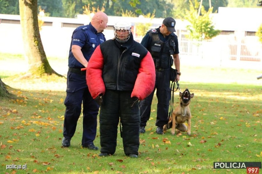 Ostrowski policjant i jego pies Master najlepsi w kraju!