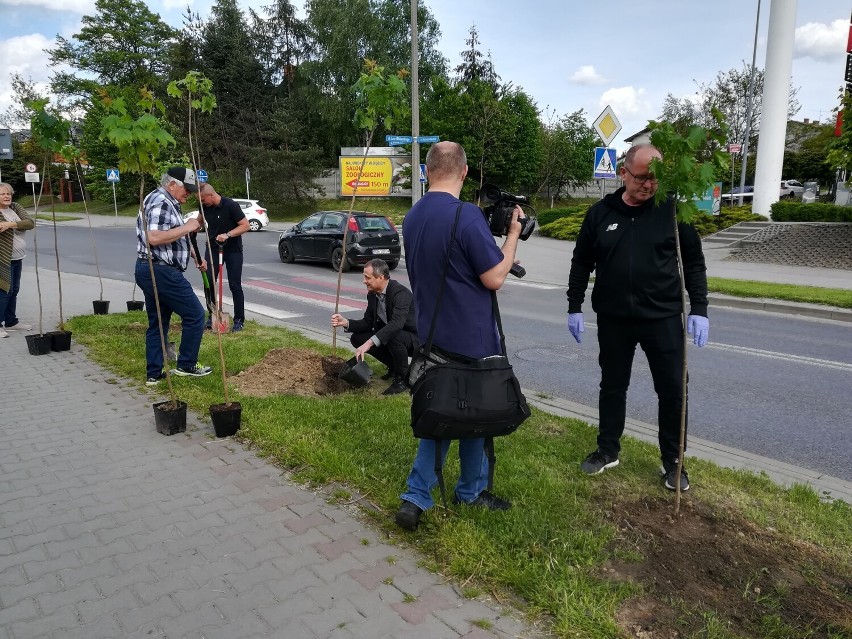 Sadzili drzewa w Dębicy i Latoszynie w ramach akcji na rzecz odbudowy środowiska naturalnego. Zobaczcie zdjęcia!