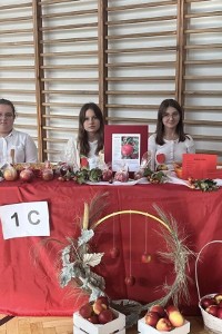 Dzień Zdrowego Ucznia w II Liceum w Sandomierzu. Królowała... szarlotka [ZDJĘCIA]