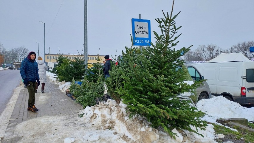 Sporo osób robiło zakupy na targu w Opatowie. Są choinki żywe i ozdoby świąteczne