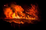 Pożar w Kulejach. Podpalono trawy