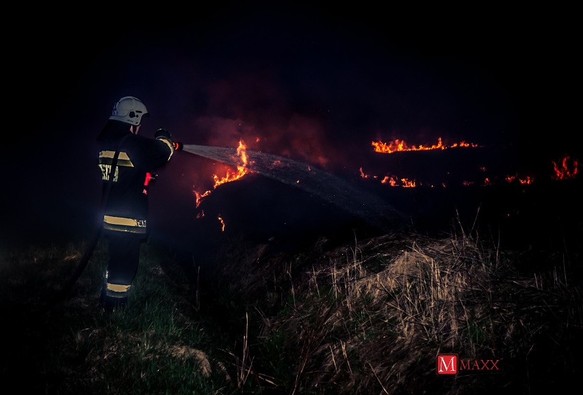 Pożar w Kulejach. Podpalono trawy