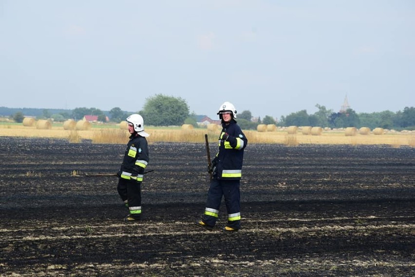 Pożar ścierniska w Siedlnicy